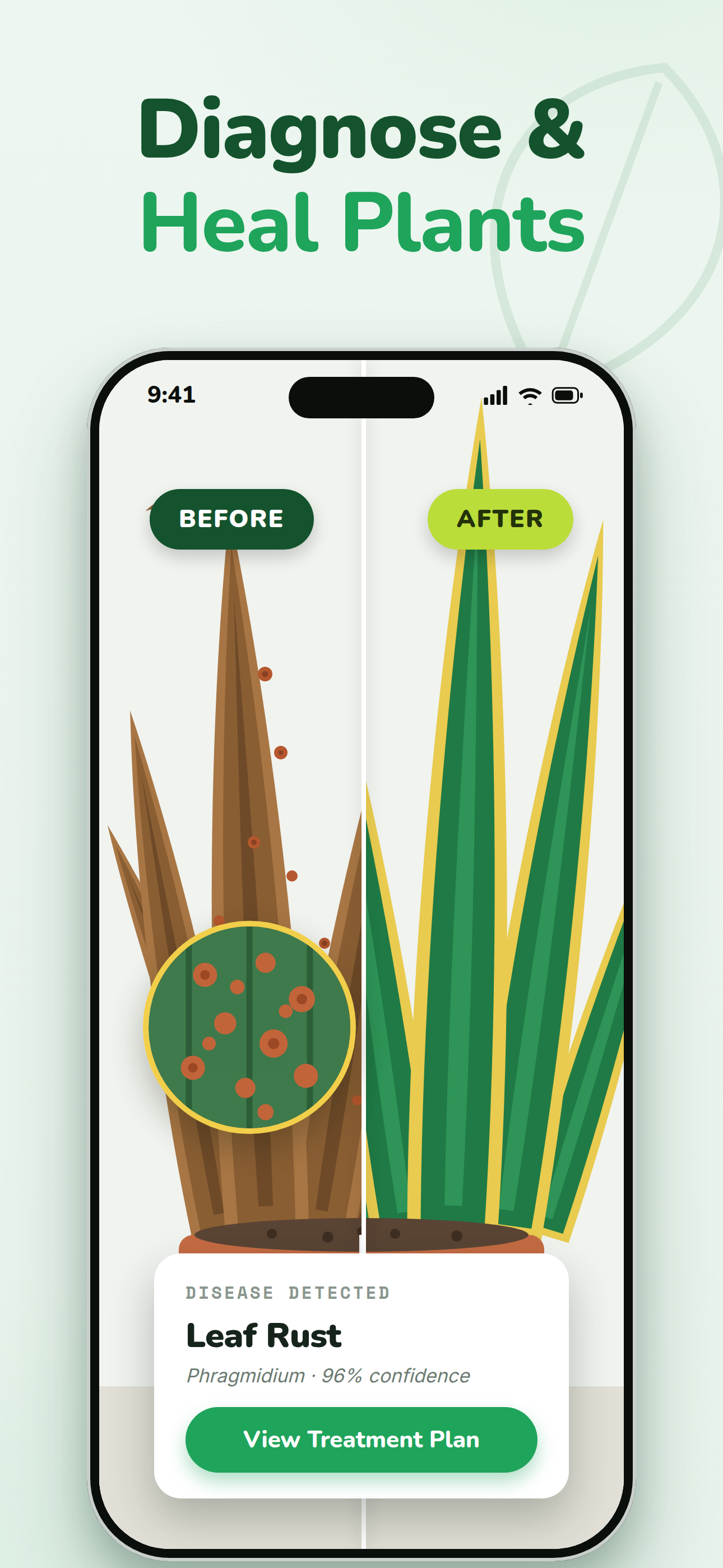 Plant Diagnosis