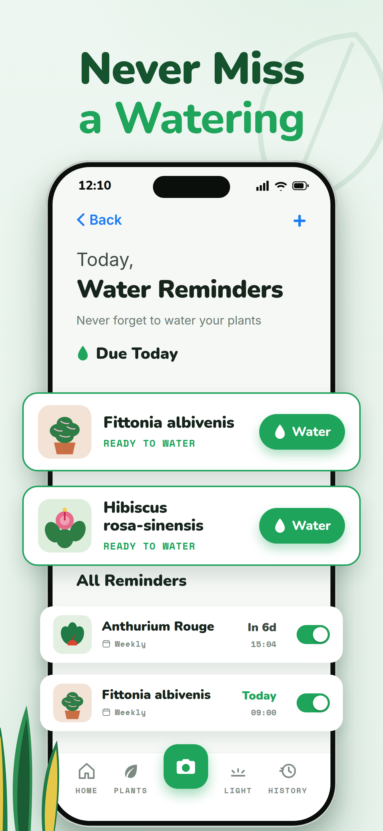 Water Reminders