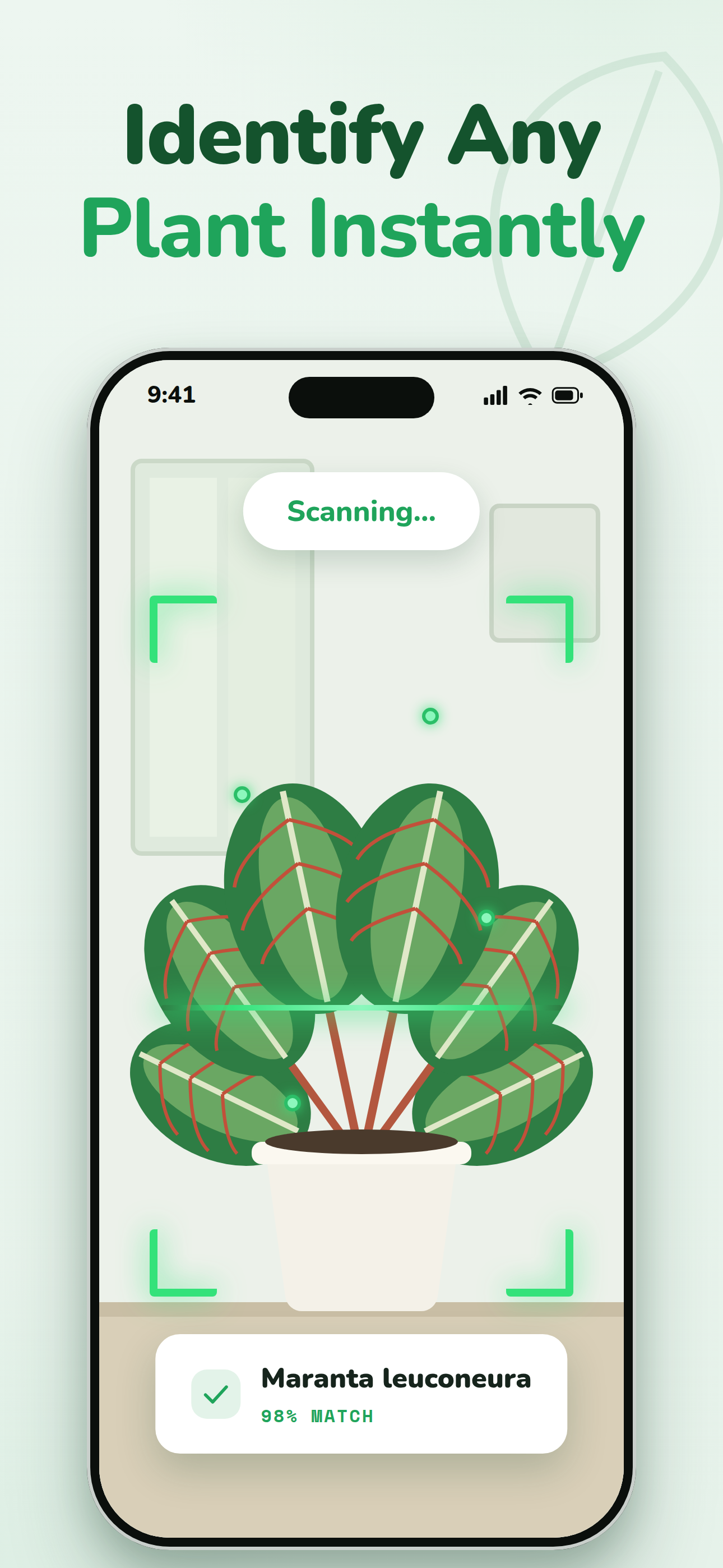 Plant Scanning